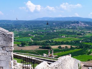 vignoble du Lubéron