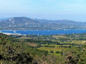 vignobles de la presqu'île de Saint-Tropez