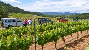 defender dans les vignes